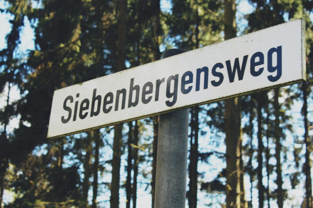 Vergleich der Lebensrealitäten im Familienleben Ost West in Deutschland