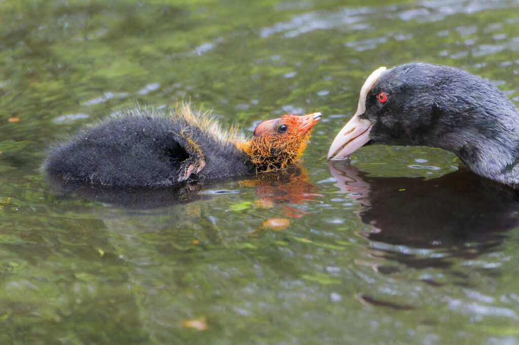 Eltern entspannen sich liebevoll im Familienalltag und meistern Herausforderungen gemeinsam
