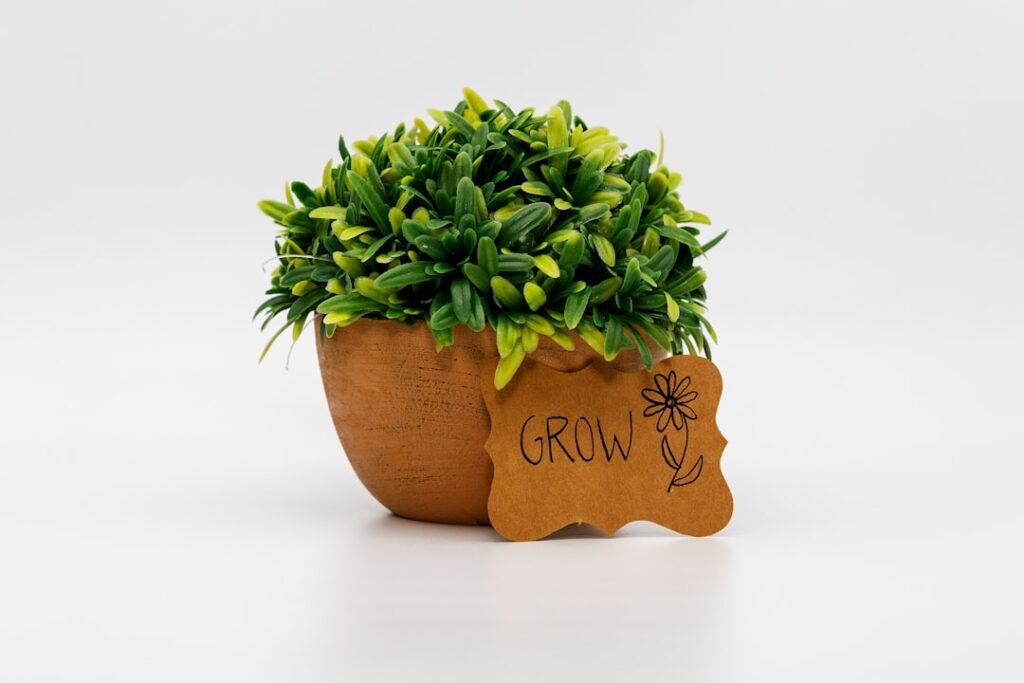 Mit Grow-Projekten die Natur erleben und Familienbande stärken Familie beim gemeinsamen Pflanzen und Pflegen im Garten für mehr Zusammenhalt