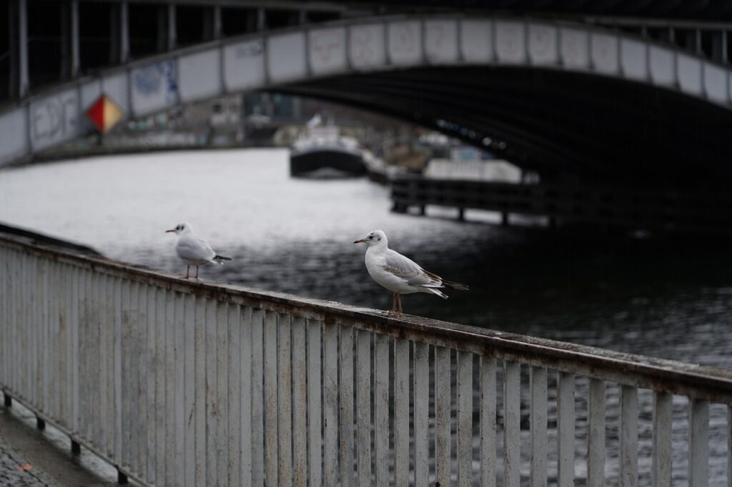 Glückliches Paar umarmt sich im Familienalltag verbindet Nähe und Zusammenhalt